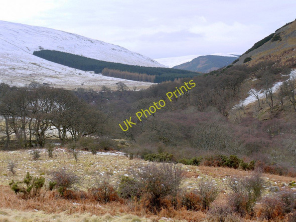 Photo 6"x4" College Valley Westnewton\/NT9030 c2010