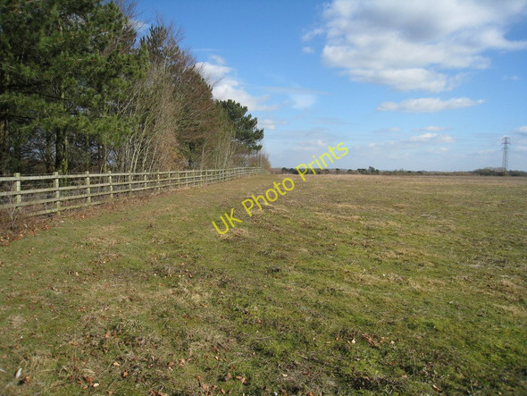 Photo 6"x4" Field boundary in spring Old Basing c2010