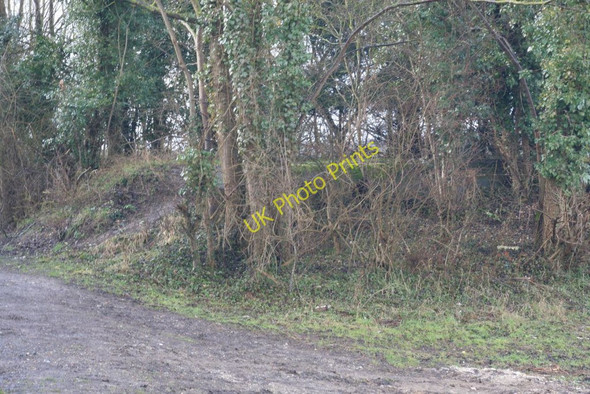 Photo 6"x4" Hidden in the copse Little Heath\/SU6573 c2010