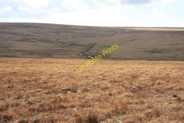 Photo 6"x4" Tavy Valley Amicombe Brook c2010