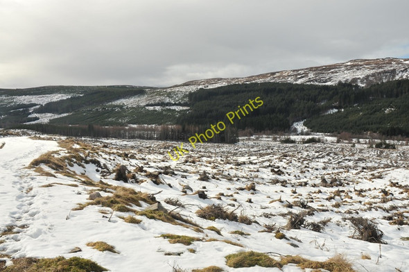 Photo 6"x4" Clearfell near Ben Wyvis Black Water\/NH4066 c2010