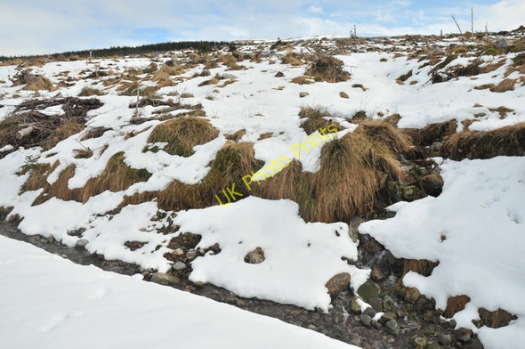 Photo 6"x4" Forestry clearfell and a small stream Black Water\/NH4066 c2010
