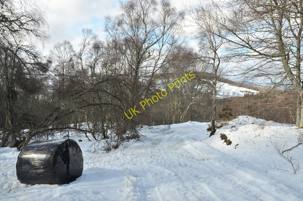 Photo 6"x4" Farm road at Faschapple South Clunes c2010