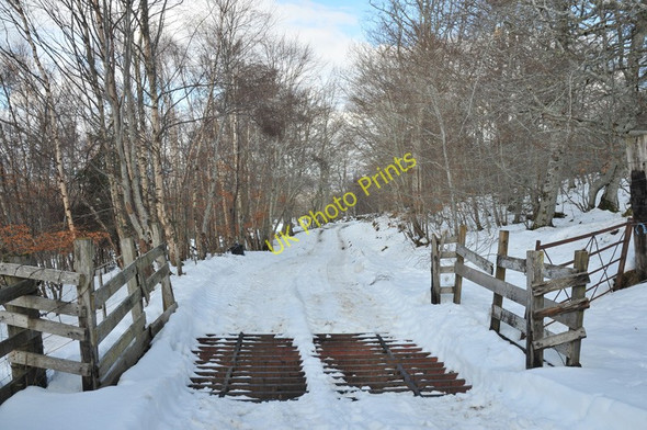 Photo 6"x4" Farm road near Faschapple South Clunes c2010