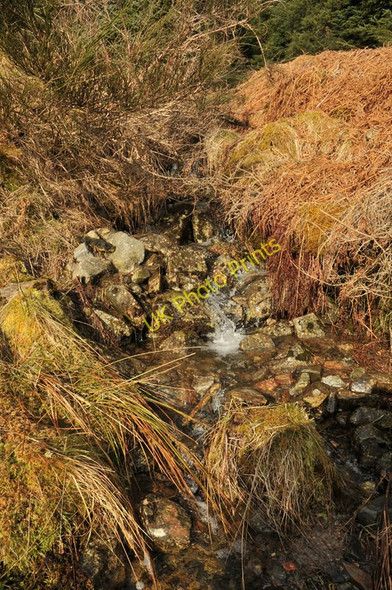 Photo 6"x4" Small stream flowing into Strath Bran Viaduct Plantation c2010