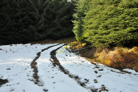 Photo 6"x4" Hairpin bend in the forest track Strath Bran\/NH2461 c2010