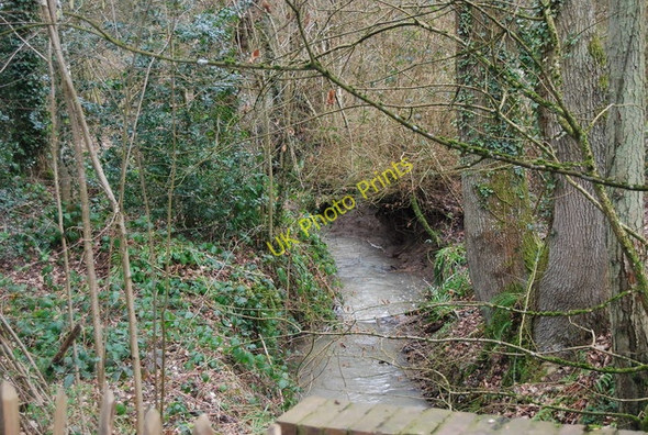 Photo 6"x4" Tributary of the River Teise, Hanger Wood Chillmill c2010