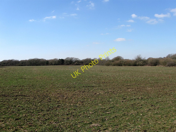 Photo 6"x4" Grovers Field Cooden c2010