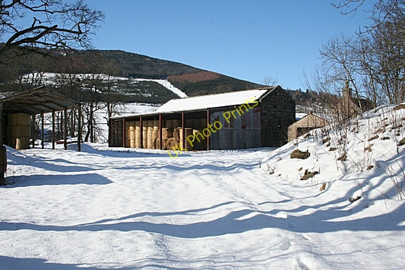 Photo 6"x4" Barn at Kirkton of Forbes Muir of Alford c2010