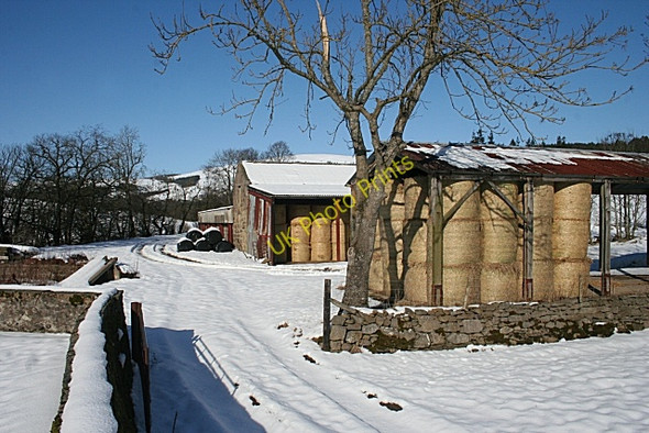 Photo 6"x4" Kirkton of Forbes Muir of Alford c2010