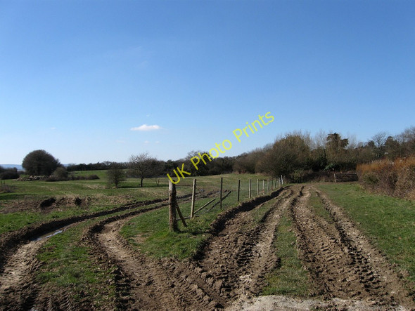 Photo 6"x4" Toll Field Cooden c2010
