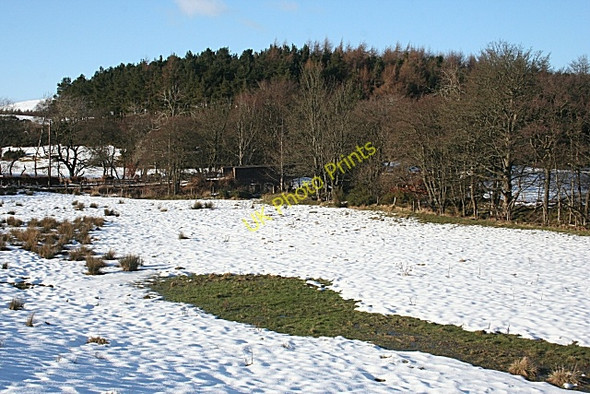 Photo 6"x4" Bridge over the Cowie Water Rickarton c2010