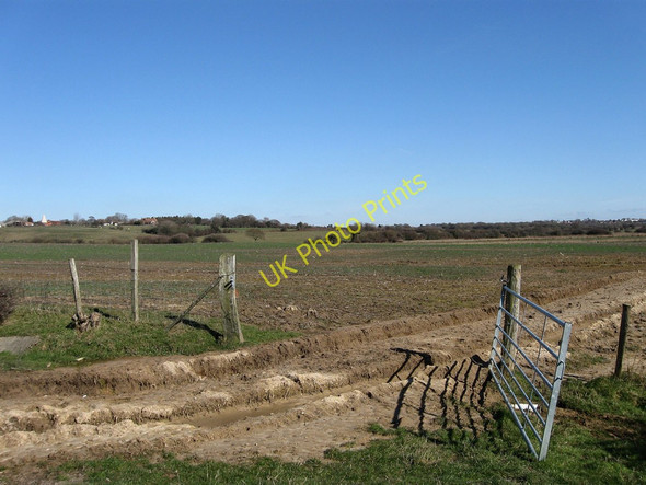 Photo 6"x4" Pound Field Brook Cooden c2010