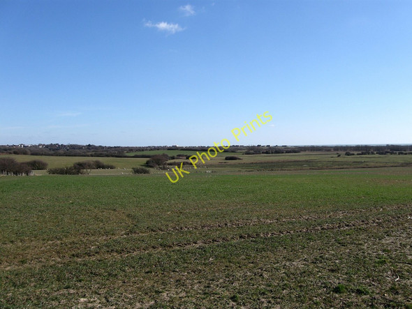Photo 6"x4" Eleven Acre Pound Field Cooden c2010