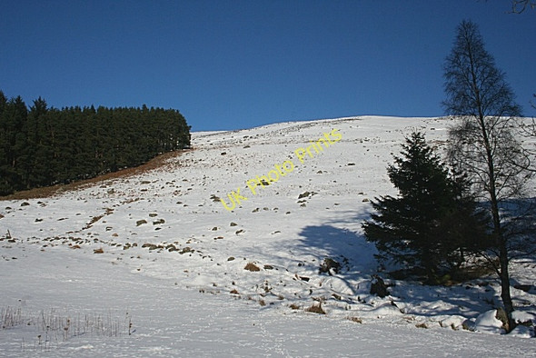 Photo 6"x4" Near Whitehillocks Rottal c2010