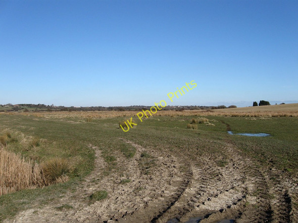 Photo 6"x4" Upper Spring Marsh Norman's Bay c2010