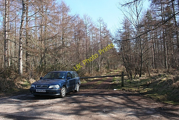 Photo 6"x4" Track into Quarrelwood Newton\/NJ1663 c2010