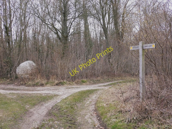 Photo 6"x4" Chalk ball by footpath West Dean\/SU8612 c2010