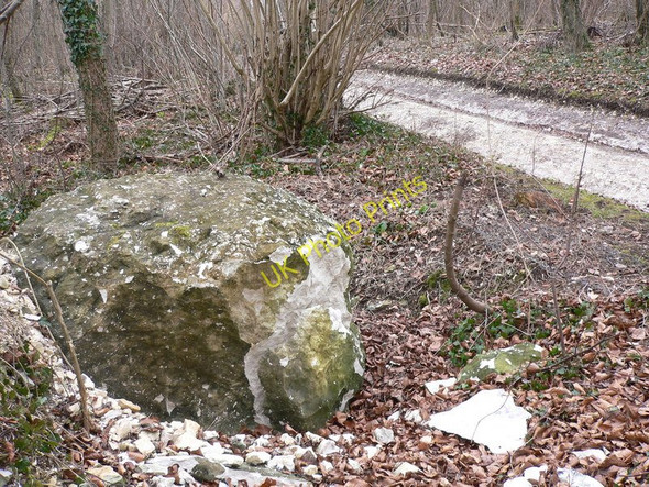 Photo 6"x4" Chalk ball by footpath on the Chalk Stones Trail West Dean\/SU8612 c2010