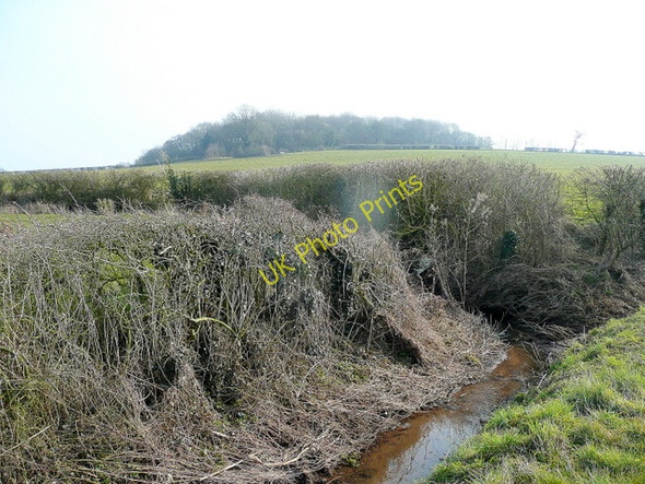 Photo 6"x4" View to Ley Court Wood Birdwood c2010