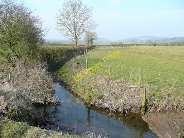 Photo 6"x4" Ley Brook Birdwood c2010