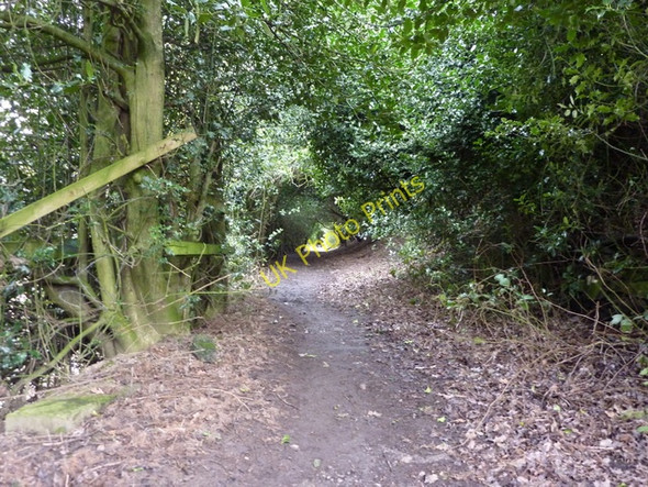 Photo 6"x4" Cut Lane Queensbury\/SE0930 c2010