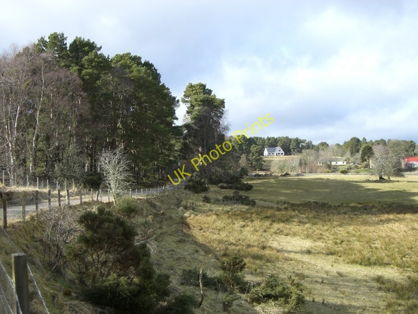 Photo 6"x4" Near Logie Hill Brenachie c2010