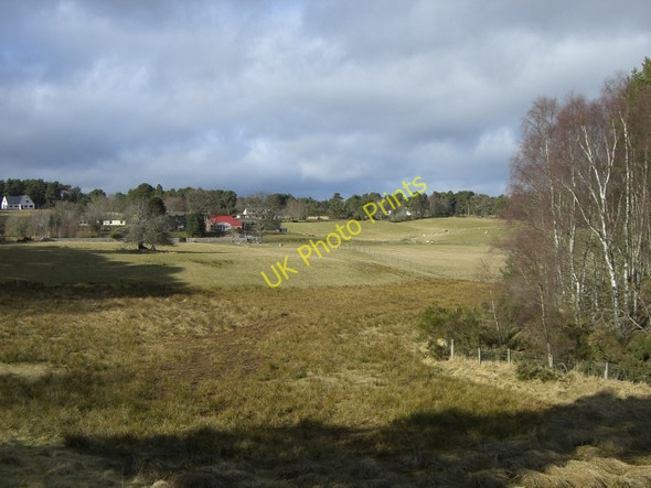 Photo 6"x4" Near Logie Hill Brenachie c2010