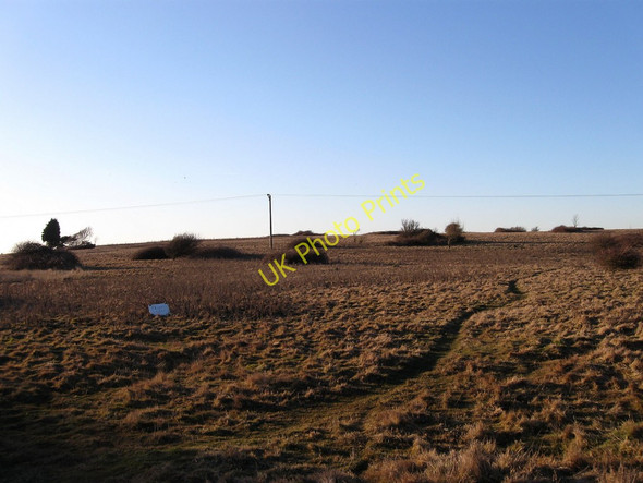 Photo 6"x4" High Field Norman's Bay c2010