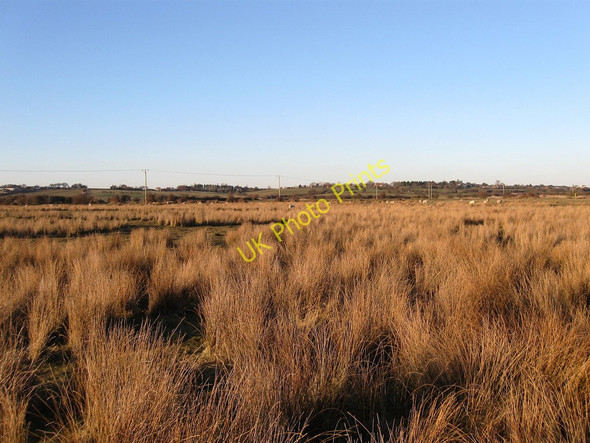 Photo 6"x4" Twelve Acres Norman's Bay c2010