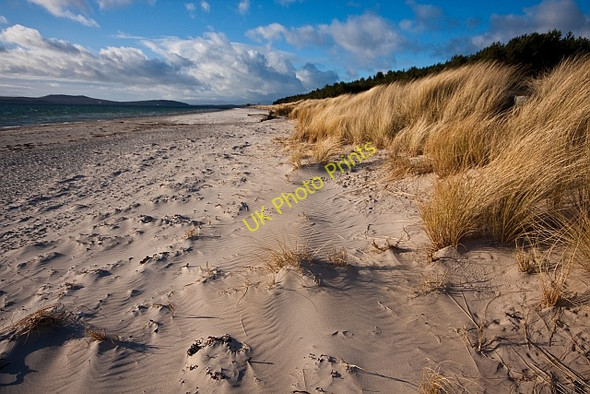 Photo 6"x4" Point Sands Tayinloan c2010
