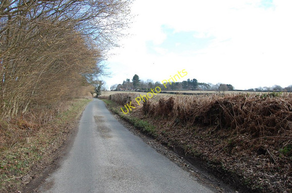 Photo 6"x4" Beacon Lane Collier's Green c2010