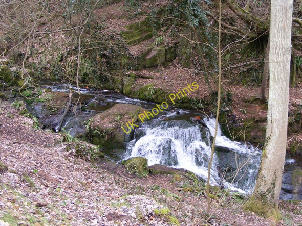 Photo 6"x4" Badger Dingle Waterfall Badger c2010