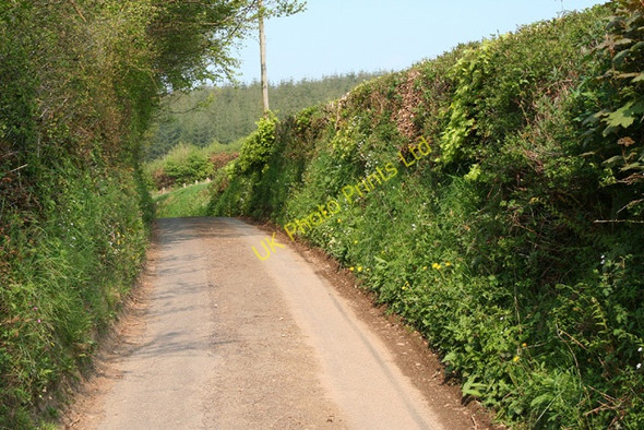 Photo 6"x4" Chipstable: lane at Raddington Bottom Raddington c2006