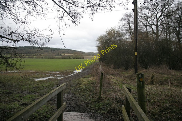 Photo 6"x4" View back up the footpath Little Heath\/SU6573 c2010
