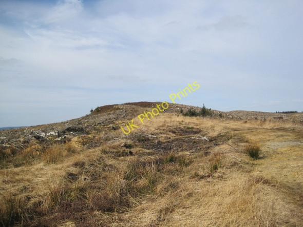 Photo 6"x4" Bridleway towards Black Belling Hawkhope\/NY7188 c2010