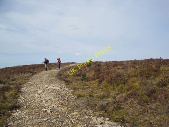 Photo 6"x4" Bridleway on Black Belling Hawkhope\/NY7188 c2010