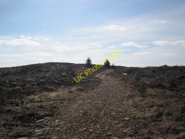 Photo 6"x4" Bridleway towards Black Belling Hawkhope\/NY7188 c2010