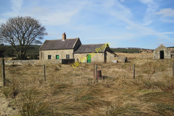 Photo 6"x4" Wainhope Mountain Bothy Wainhope\/NY6792 c2010
