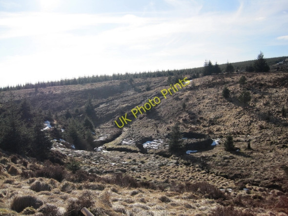 Photo 6"x4" Sheepfold on the banks of the Wainhope Burn Butteryhaugh c2010
