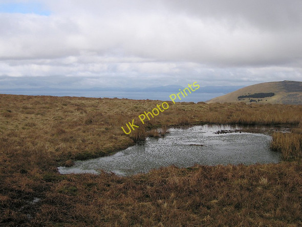 Photo 6"x4" Boggy pond on the Diffwys ridge Craig y Dinas c2010