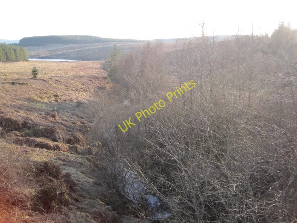 Photo 6"x4" The Belling Burn Hawkhope\/NY7188 c2010