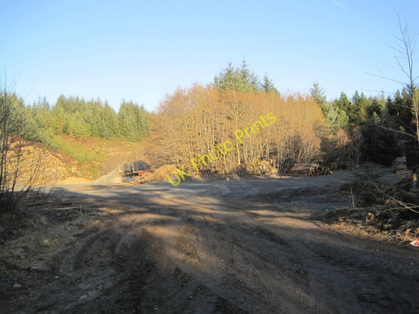 Photo 6"x4" Quarry near the Belling Burn Hawkhope\/NY7188 c2010
