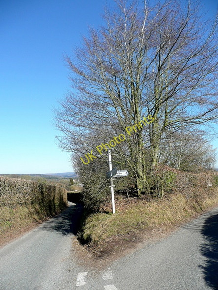 Photo 6"x4" Fork in the lanes Bream's Meend c2010
