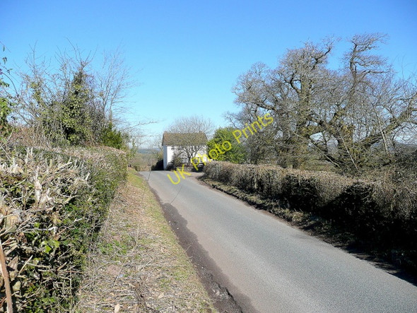 Photo 6"x4" Lane to Bream Bream's Meend c2010