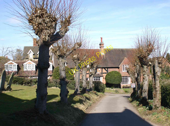 Photo 6"x4" Avenue of trees up to the church, All Saints, Leek Wootton Leek Wootton c2010