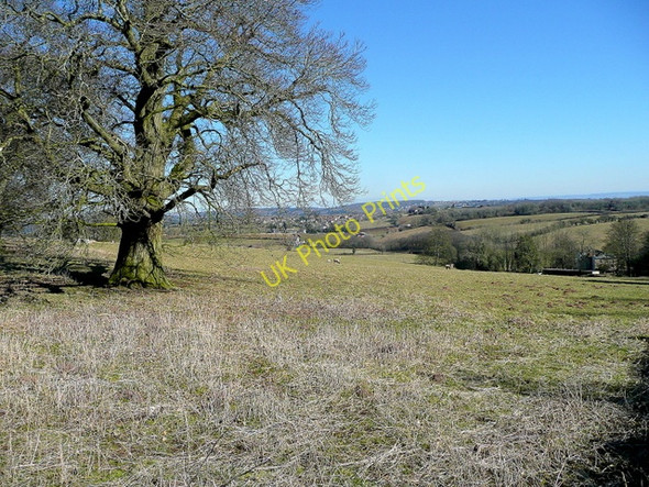 Photo 6"x4" View towards the Forest of Dean Bream's Meend c2010