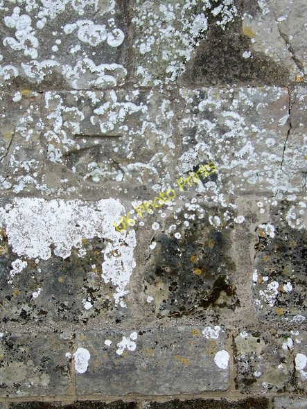 Photo 6"x4" Bench Mark, Martin East Martin c2010