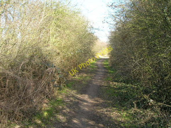 Photo 6"x4" Bridleway to Burton Joyce Lambley\/SK6345 c2010