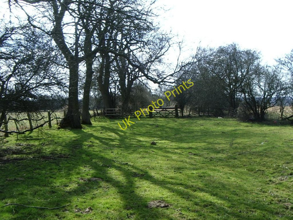 Photo 6"x4" Corner of top field near A5 Catthorpe c2010